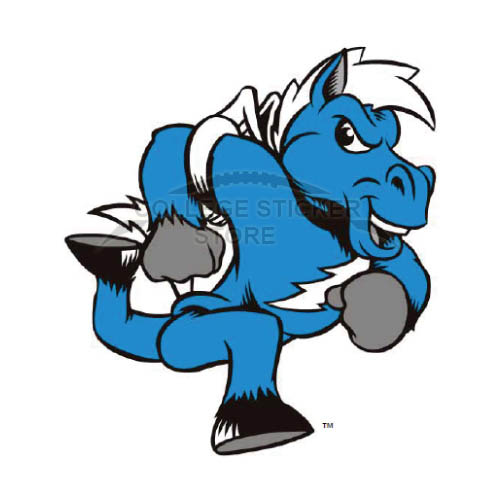 Personal Middle Tennessee Blue Raiders Iron-on Transfers (Wall Stickers)NO.5082